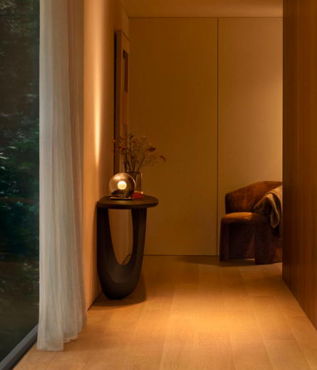 Luna basso application 04