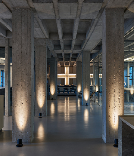 lui basso application 01