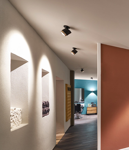 lui pico application 01