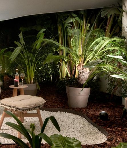 Sito basso application 03