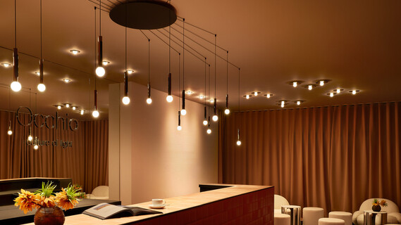 MDW25 Showroom Coro moon