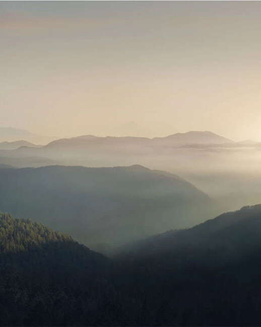 Culture of light background