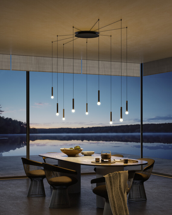 Coro moon spider über Esstisch